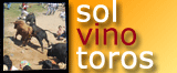 sol, vino y toros