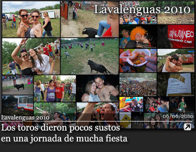 lavalenguas 2010