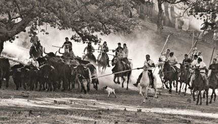 Primer premio concurso fotográfico Fiestas de San Juan del Mercado Municipal