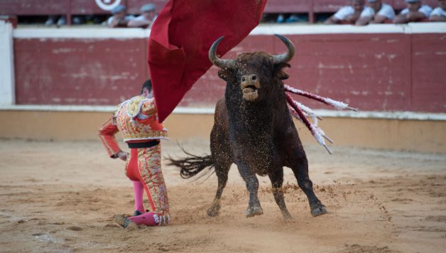 Feria taurina San Juan 2018