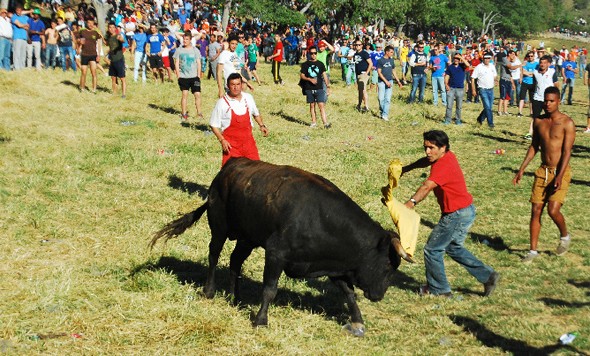 Lavalenguas 2014